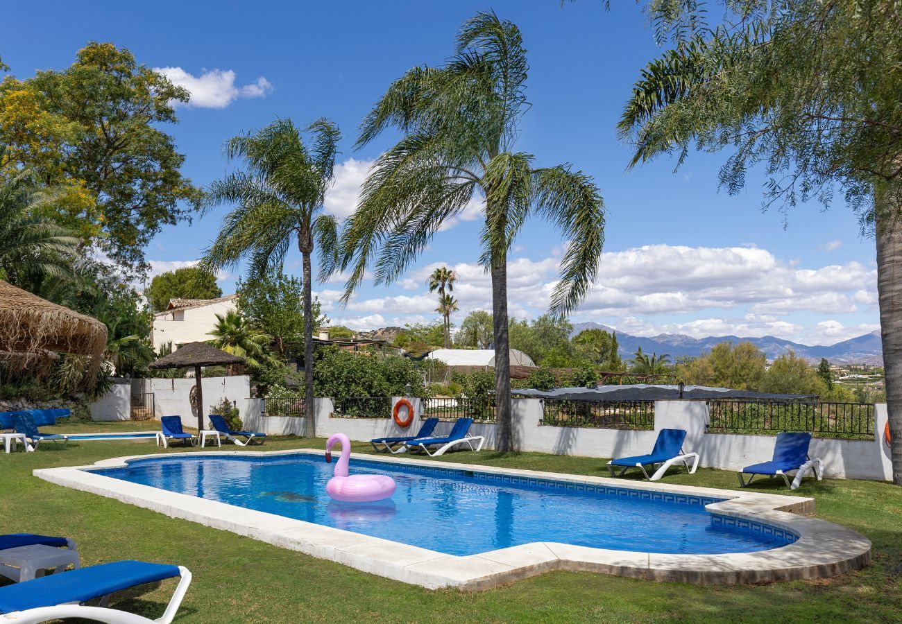 Apartment in Alhaurín el Grande - Casita Segunda Apartment in Alhaurín el Grande - Casita Segunda