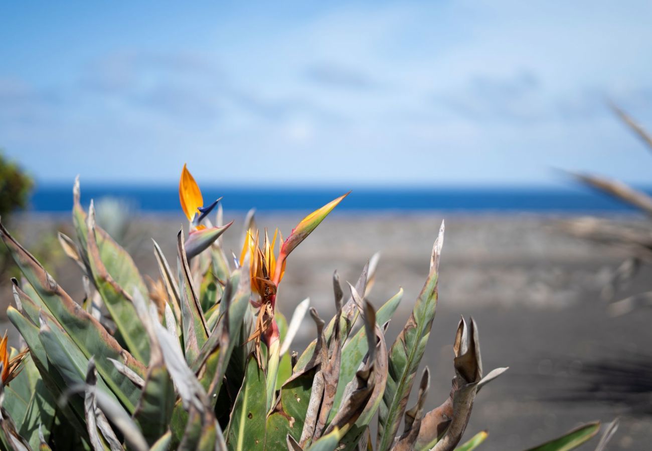 Villa in Playa Blanca - Villa Sandia Villa in Playa Blanca - Villa Sandia