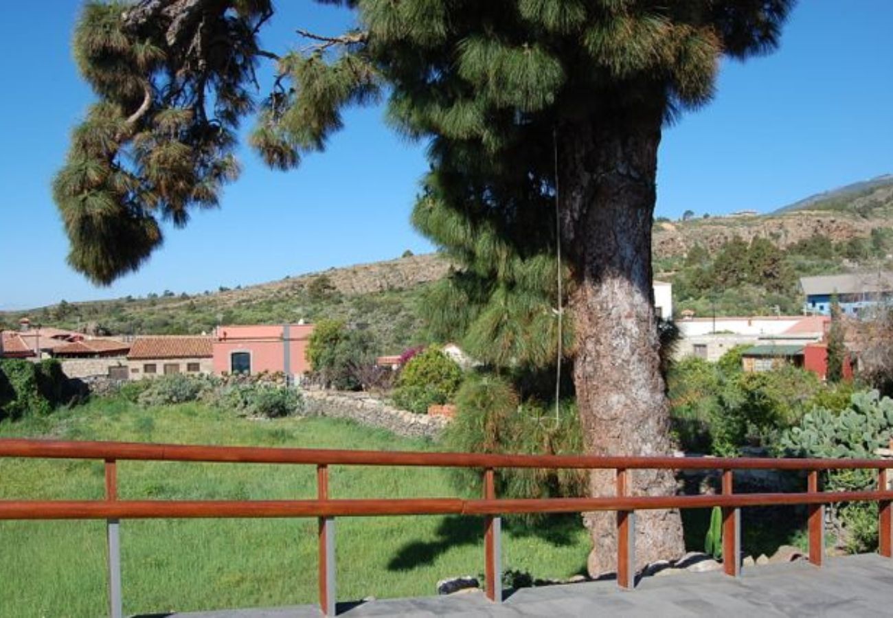 House in Granadilla de Abona - Casa Sofia House in Granadilla de Abona - Casa Sofia