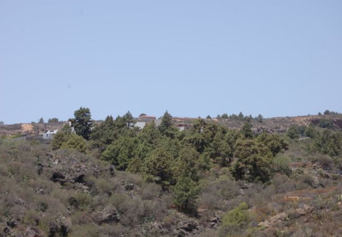 House in Granadilla de Abona - Casa Sofia House in Granadilla de Abona - Casa Sofia