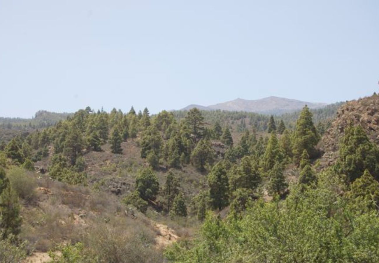 House in Granadilla de Abona - Casa Sofia House in Granadilla de Abona - Casa Sofia