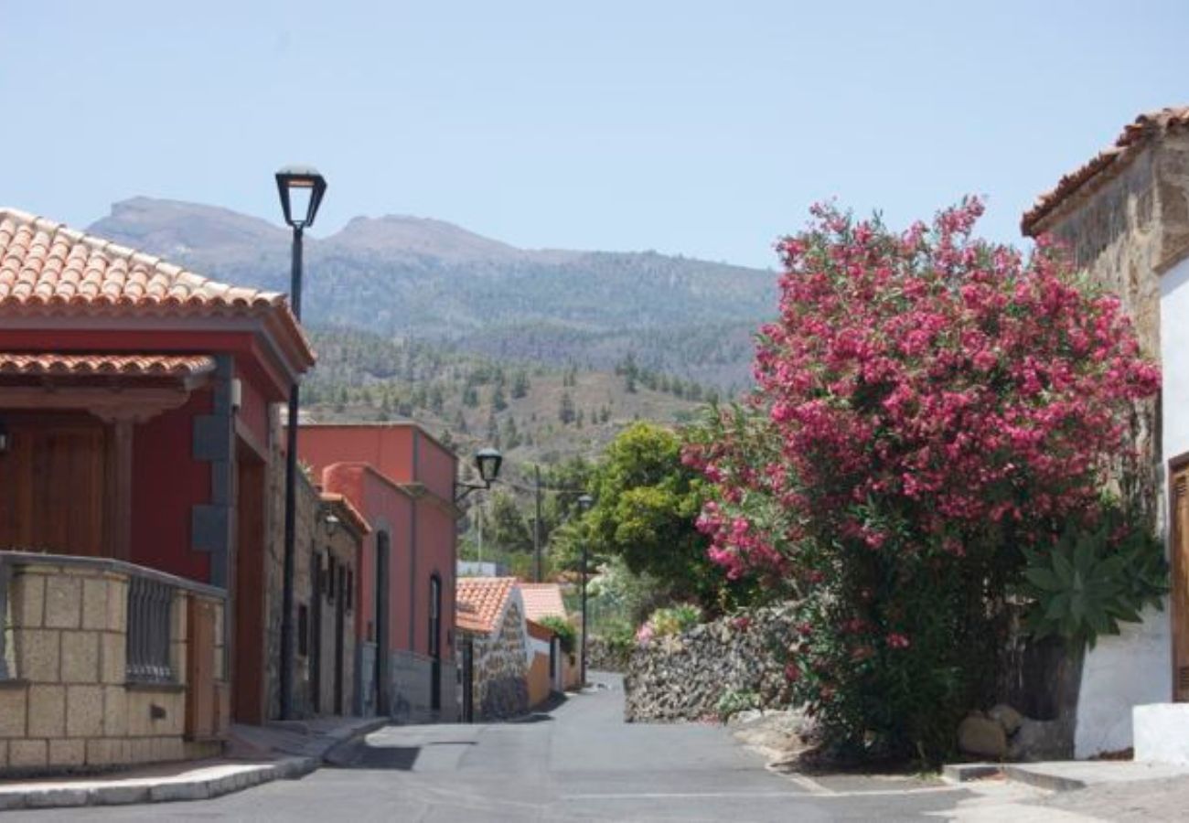 House in Granadilla de Abona - Casa Sofia House in Granadilla de Abona - Casa Sofia