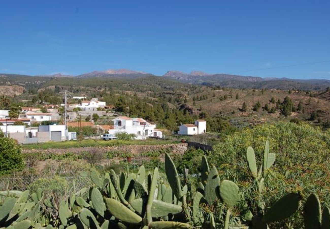 House in Granadilla de Abona - Casa Sofia House in Granadilla de Abona - Casa Sofia